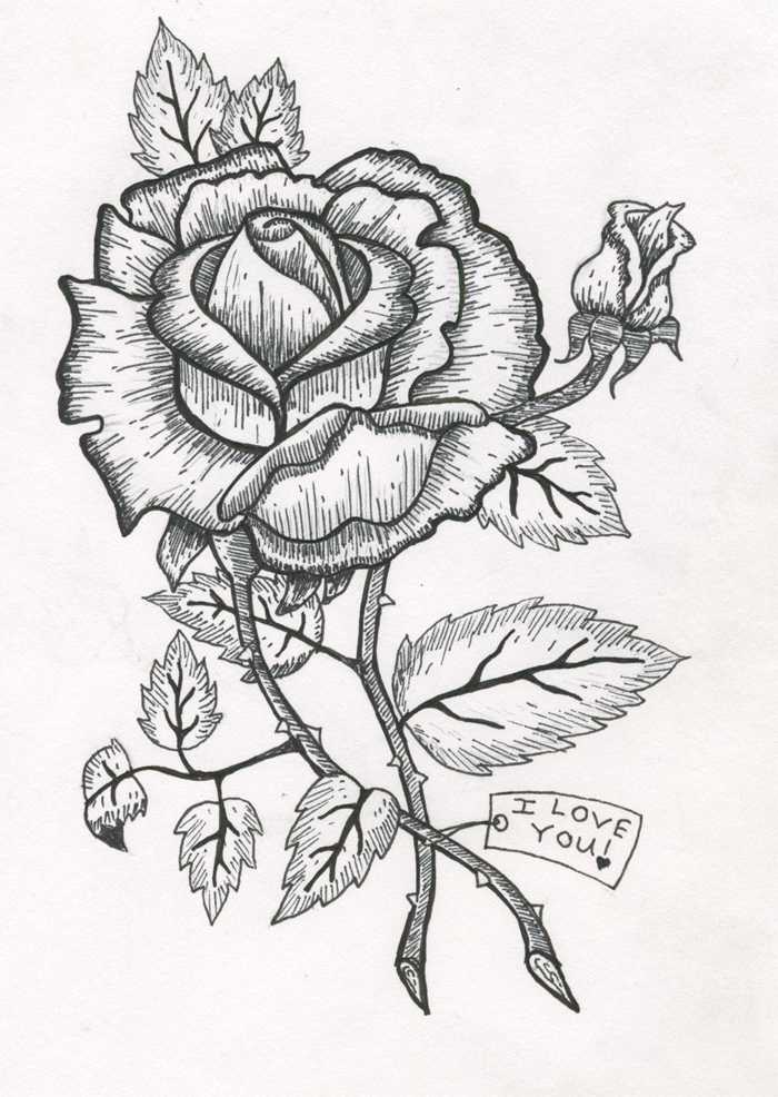 rosekatwebsite.jpg