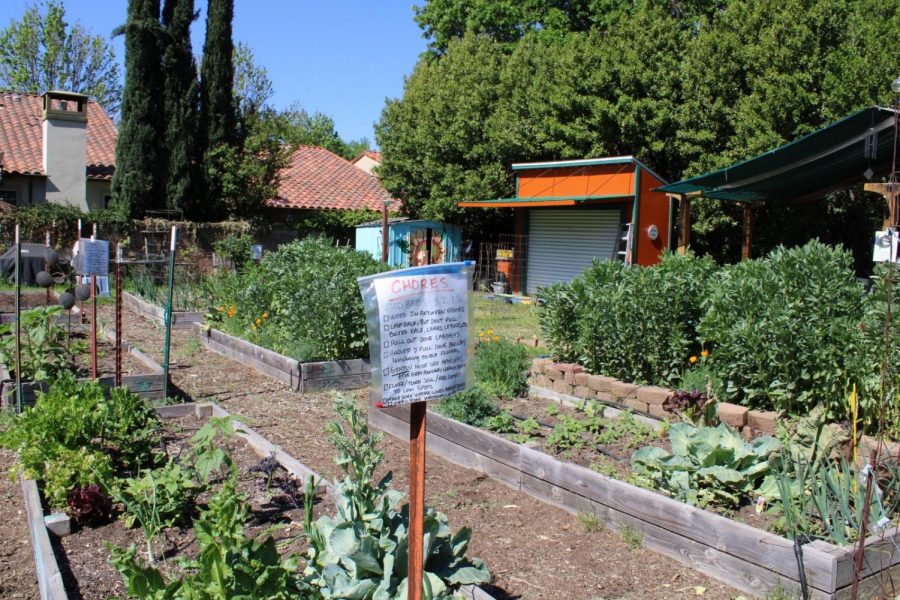 A list of gardening chores helps to make sure the garden beds are well maintained at the Kentfield Garden.