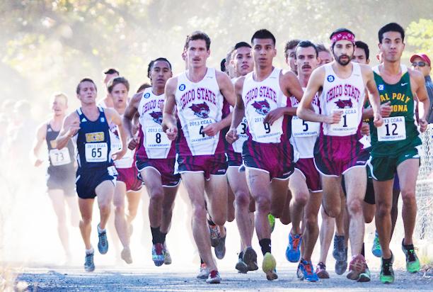 Photograph by Sam Rivera
A group of Wildcats lead the pack early  on in the California Collegiate Athletic Association Championships Saturday.