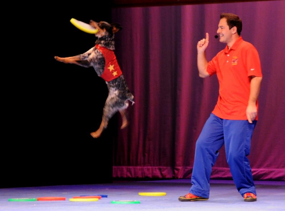 Adopted dogs from pounds across the nation do flips and tricks, such as Cooper the Australian cattle dog who can catch frisbees tossed by Chris Perondi in quick succession up to four feet off the ground.