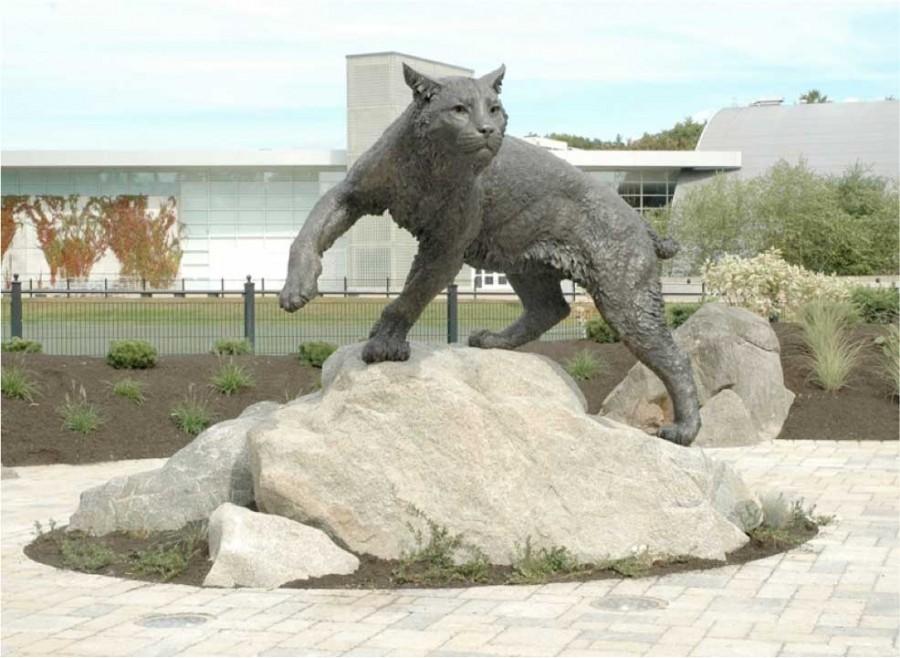A $160,000 wildcat statue from the University of New Hampshire that the Associated Students is using as an example to illustrate the one they want to build for Chico State. Students and non-students will be able to submit designs for the statue and vote on the one they like the most. Photo courtesy of the Associated Students.