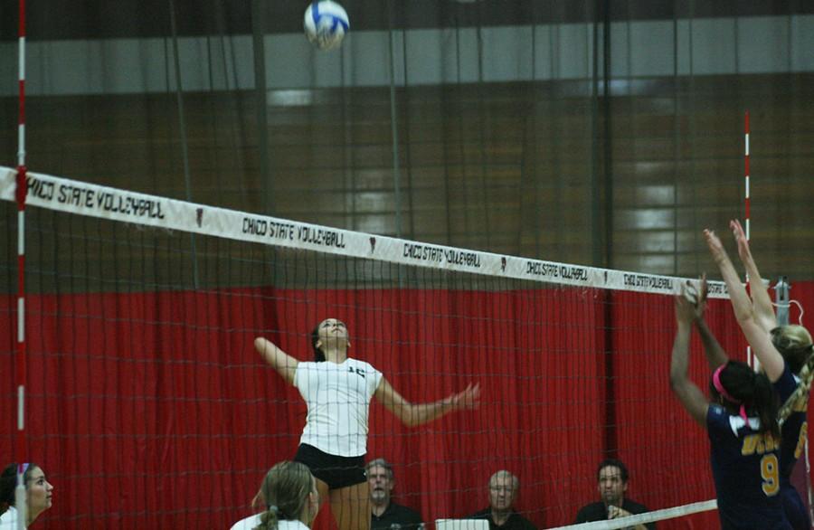 Olivia Mediano goes for a spike over UC San Diego Tritons Friday at Acker Gym. Photo credit: John Domogma