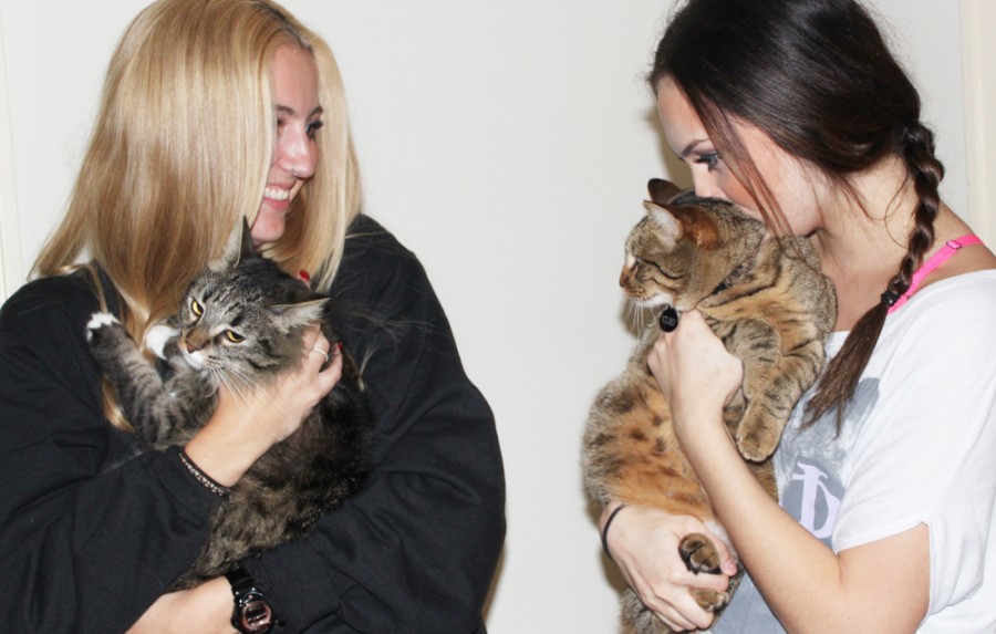Chico State juniors Nikki St. Laurent and Alexandra Monopoli cuddle with their cats Simba and Cleo. Photo credit: Catalina Friz