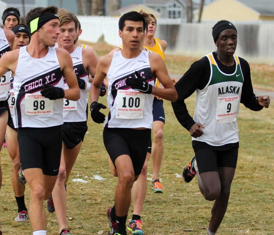 Johnny Sanchez, center, competes at a cross-country meet. Sanchez said that the cheering and energy from the crowd at a meet helps him push harder to win. Photo courtesy of Johnny Sanchez.