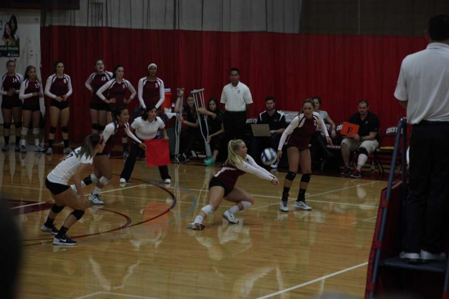 The Chico State Wildcats beat the San Francisco Gators in five sets on Sept. 22.. Photo credit: John Domogma