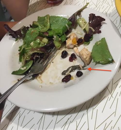 Sutter dining salad with a side of salamander. Photo courtesy of Justin Diruscio