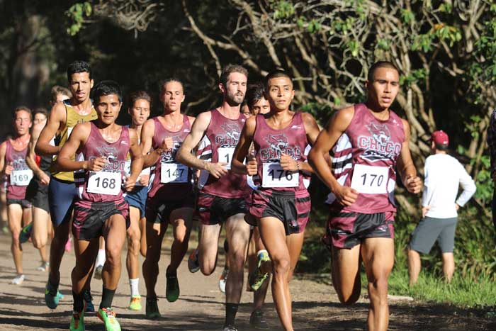 The Chico State mens and womens cross country teams will be headed to the NCAA Championships. Photo courtesy of Gary Towne.