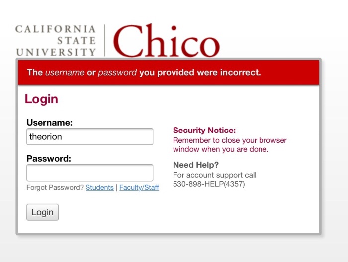 Screen captured from the Chico State portal website