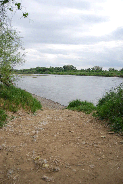 Sacramento River, the largest river in California.