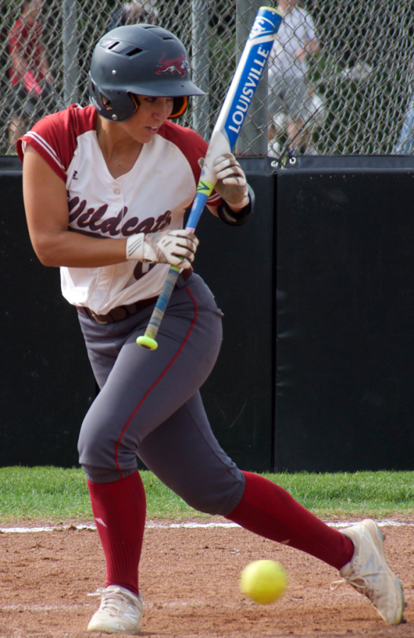 Senior Alli Cook looks down after bunting a ball during a game against Cal State Dominguez Hills. Photo credit: Nick Martinez-Esquibel