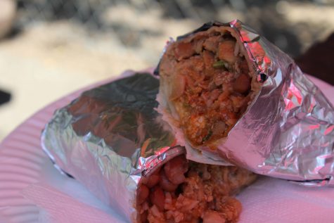 Tacos El Paisa Burrito