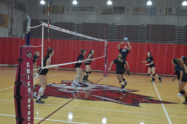 The Chico State volleyball team sets the ball during practice. Photo credit: Jordan Jarrell