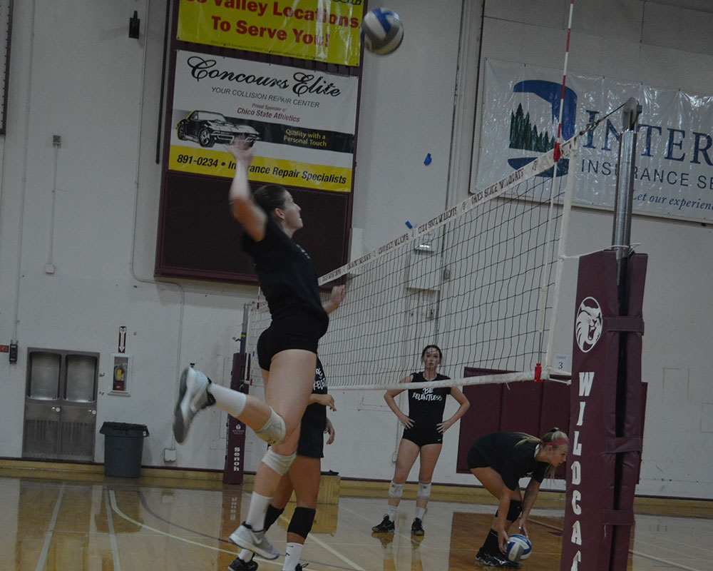 Chico State women's volleyball practices spiking before their game. Photo credit: Jordan Jarrell