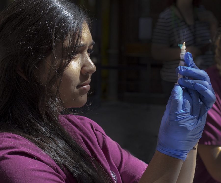 Junior nursing major Katelyn Alvarez gets a vaccine ready for flu shots in the Meriam Library breezeway. Photo credit: Franky Renteria