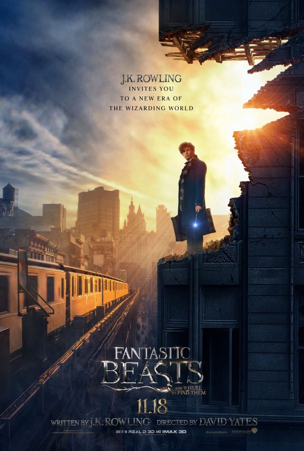Promotional+photo+for+Fantastic+Beasts+and+Where+to+Find+Them+courtesy+of+Warren+Bros.