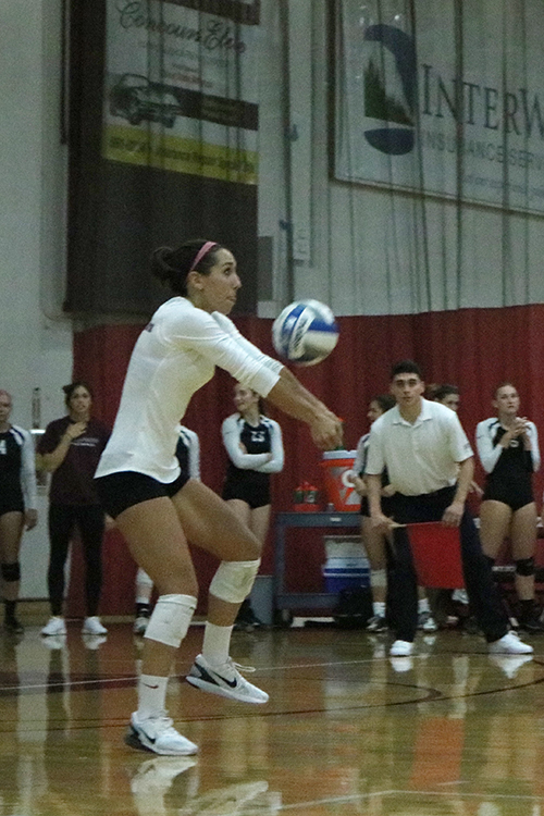 Junior defensive specialist Shannon Cotton sets the ball during a Wildcat home game. Photo credit: Jovanna Garcia
