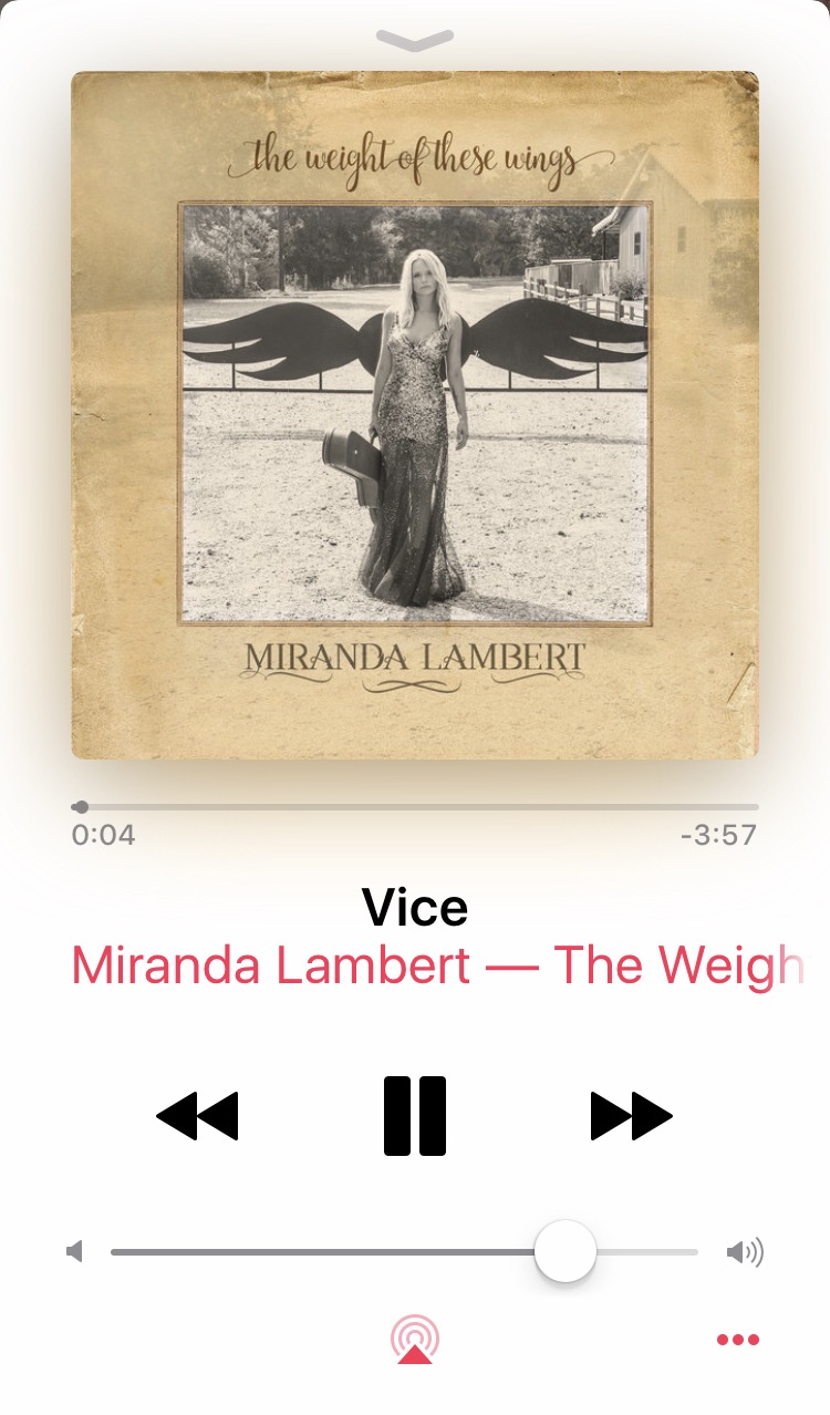 "Vice" Lambert's lead single from The Weight of These Wings as shown on Apple Music.