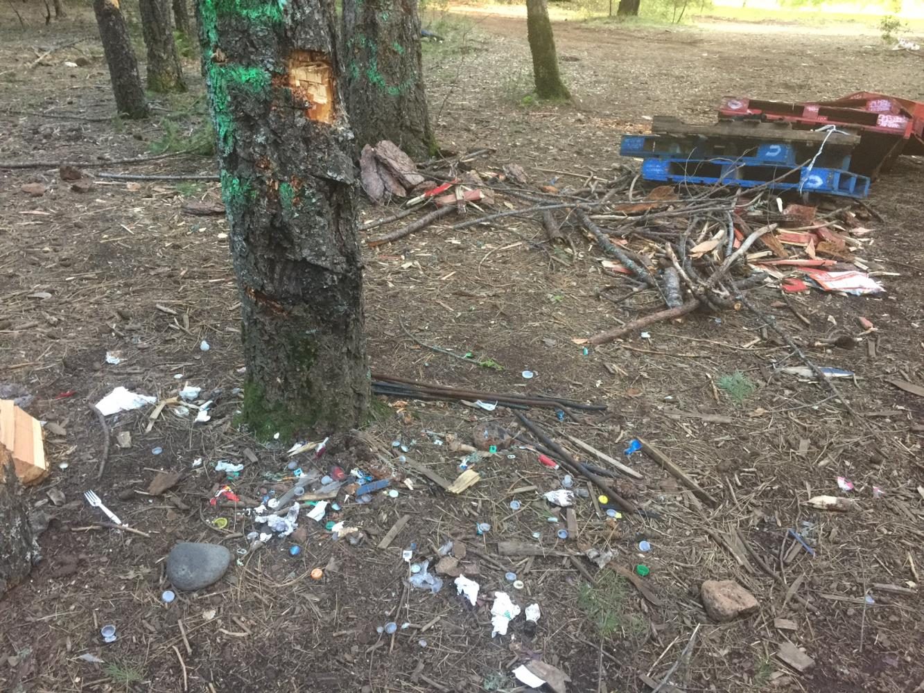 Fraternity+being+investigated+for+trashing+campsite