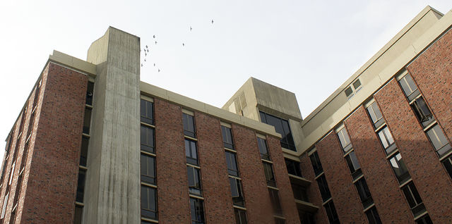 On a cloudy day, a flock of birds seem to fly into a column on the side of Whitney Hall. Photo credit: Martin Chang