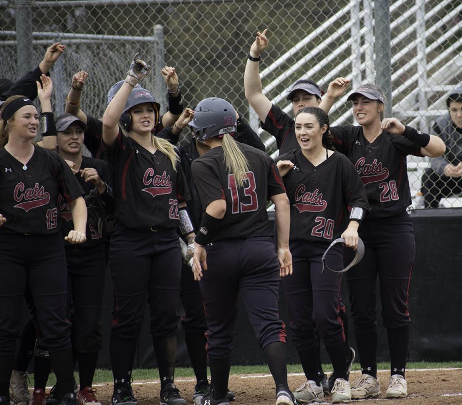 The Wildcats celebrate following Bailey Akins home run that broke the record for most as a team in a single season. Photo credit: Martin Chang