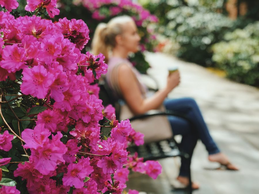 Spring has sprung Wildcats! Our beautiful campus has many spots to unwind from the hustle and bustle and reset those thinkin minds. Rain or shine take a moment for you today! Photo credit: Kelsey Veith