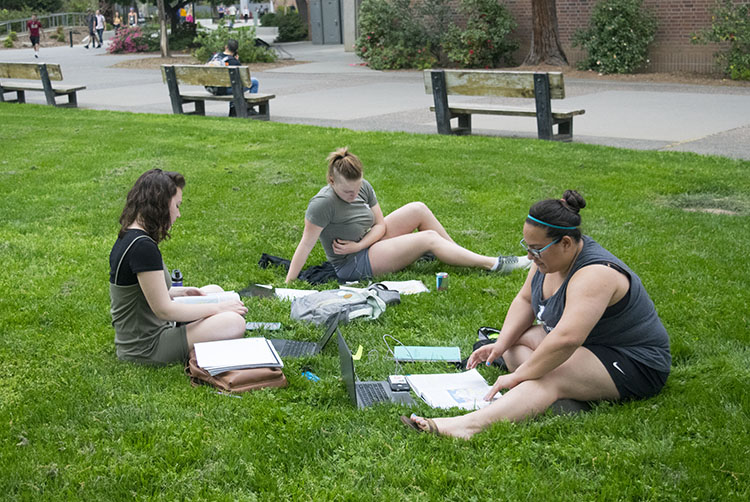 Ashley Linnekin, Courtney Albright and Lorren Sharp (from left) studying in the breezy weather outside the Merriam Library on Wednesday afternoon. Photo credit: Rachael Bayuk