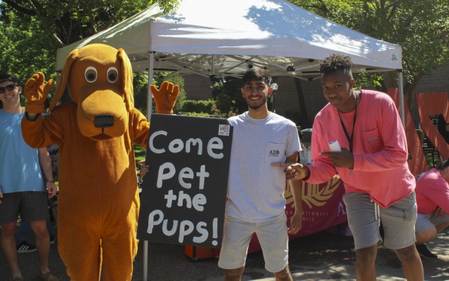 Gentlemen of Alpha Sigma Phi and volunteers at the Butte Human Society got together to bring some cute, adoptable pups to the catwalk by the Meriam Library on Tuesday morning. Photo credit: Anne Chamberlain