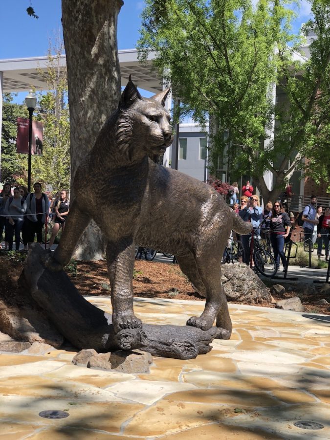 The Wildcat Statue continues to create controversy among students over the cost. Photo credit: Alejandra Fraga