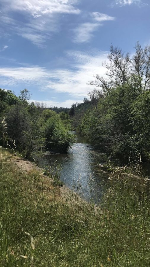 Explore Upper Bidwell Park with a day trip on the Yahi Trail – The Orion