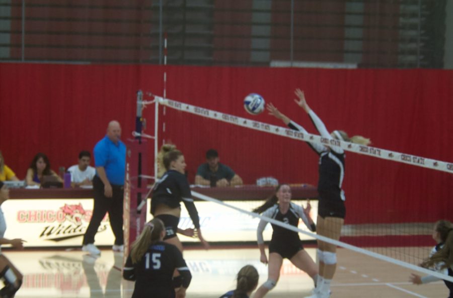 Chico State makes a block against Cal State San Bernardino in this archived photo. Photo credit: Maury Montalvo
