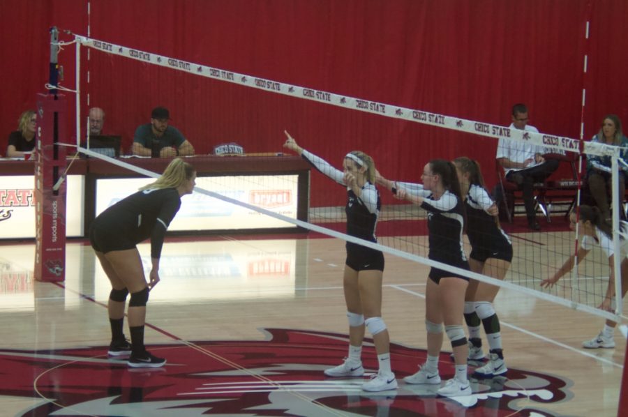 Chico State prepares for a serve from Cal State San Bernardino in this archived photo Photo credit: Maury Montalvo