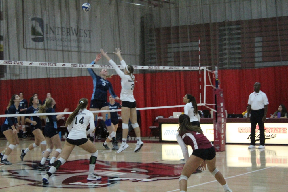 Chico State's Kim Wright goes up for the blocked shot attempt against Sonoma State in this archived photo. Photo credit: Ricardo Tovar