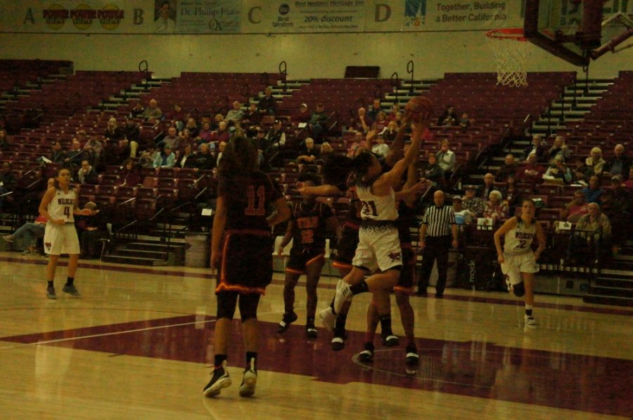 Chico State guard Shay Stark attempts a layup on Thursday night against Stanislaus State. Photo credit: Keelie Lewis