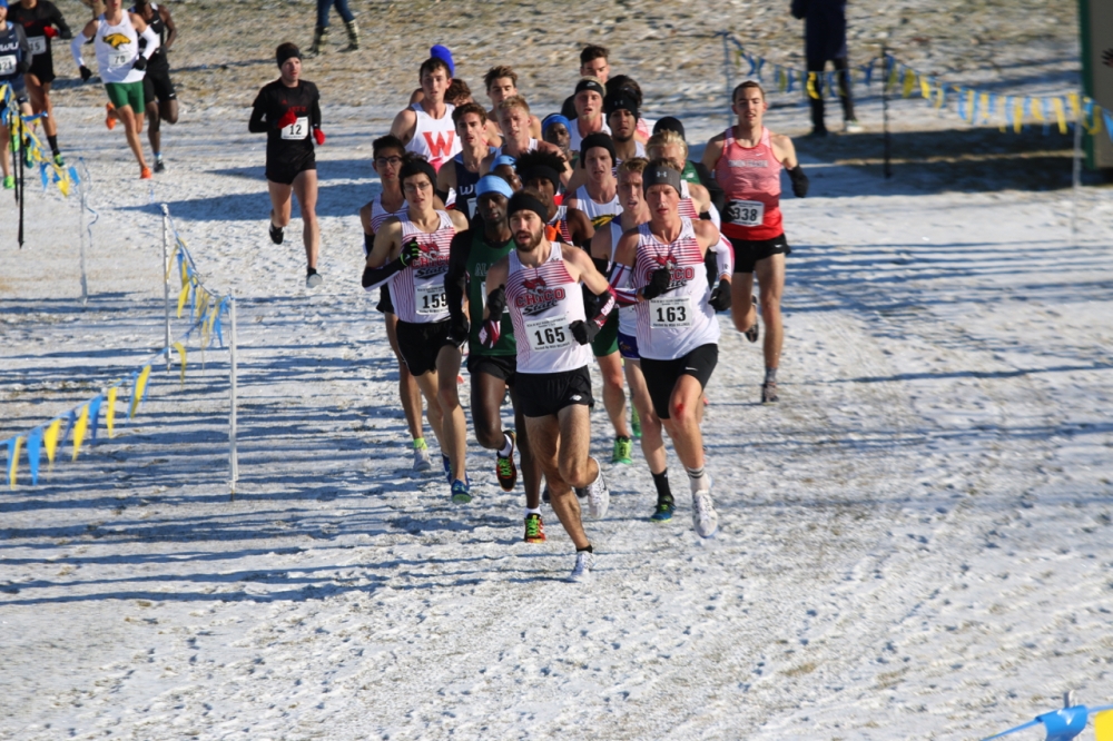 Eddie King leads pack of Chico State runners at the NCAA West Regional Championships in Billings, Montana. Image courtesy of Gary Towne.