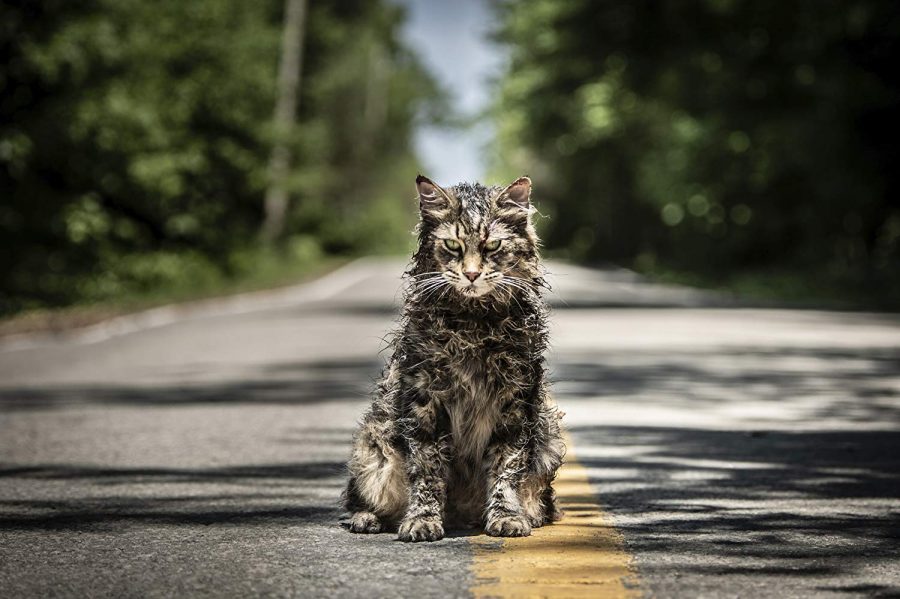 Church, the Creed family cat, is one the main antagonists of the film. 
IMDb website photo