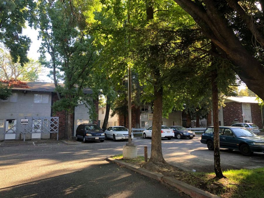 The apartment complex near the 1000 block of cColumbus Ave. in Chico, where Morales was arrested last week. Photo credit: Ricardo Tovar