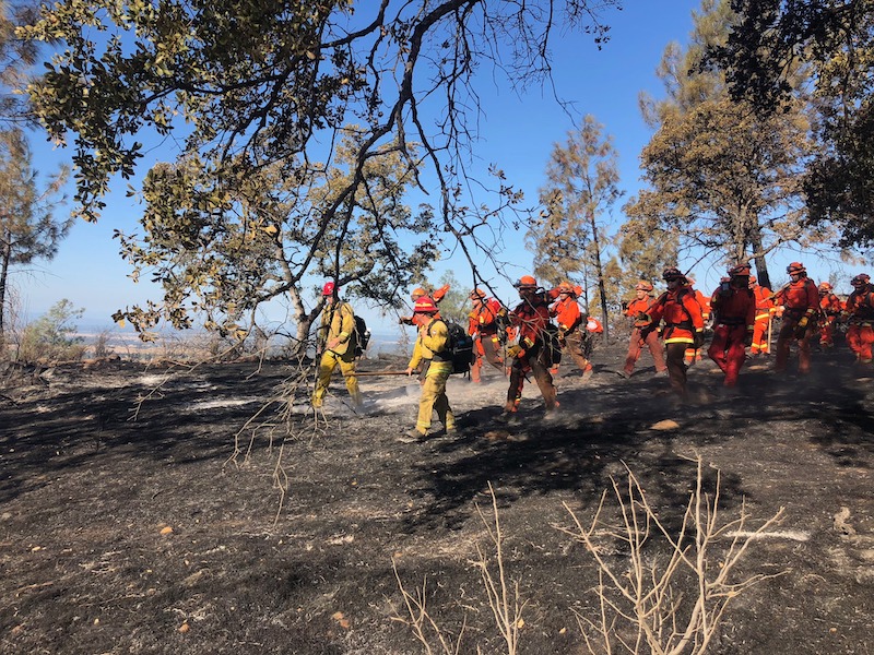 Cal Fire performs mop up operations at Chinese Wall Road in Oroville on Sunday morning. Photo credit: Natalie Hanson