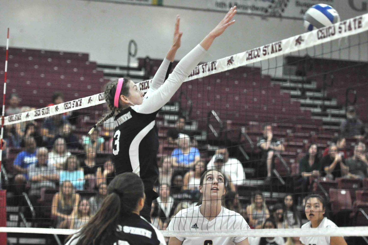 Kim Wright blocking a ball at home game in Acker gym. Photo courtesy of Chico State Sports Information.