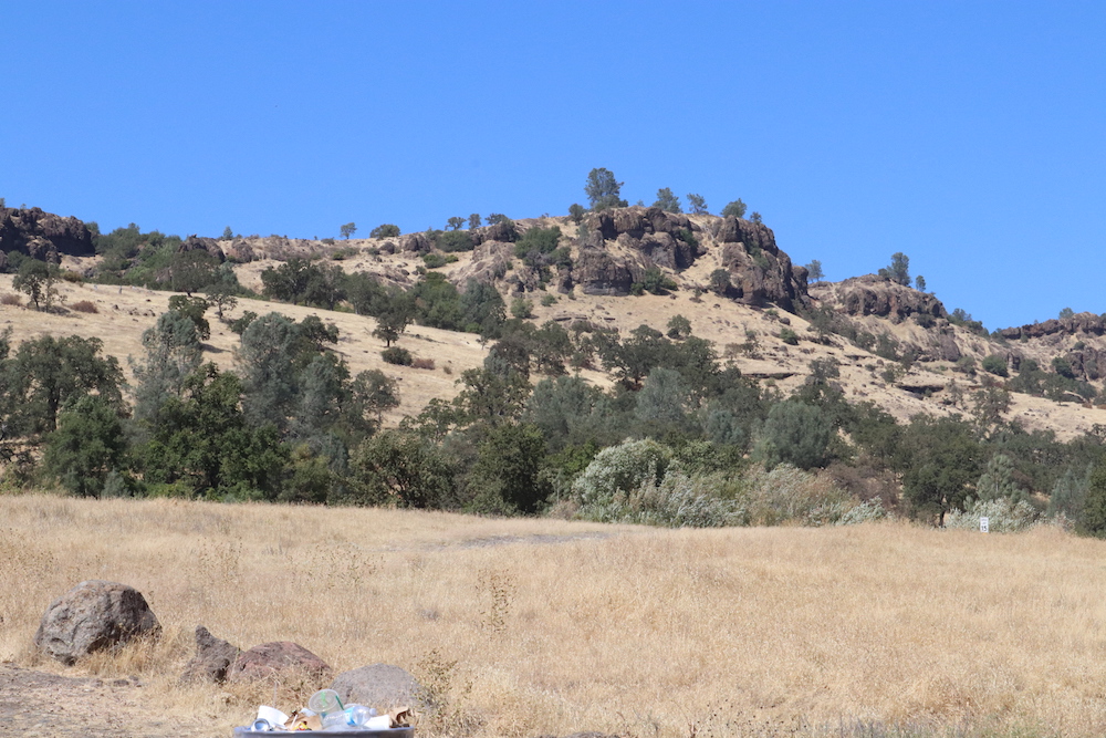 The terrain looked better after the goats ate up the overgrowth. Photo credit: Melissa Herrera
