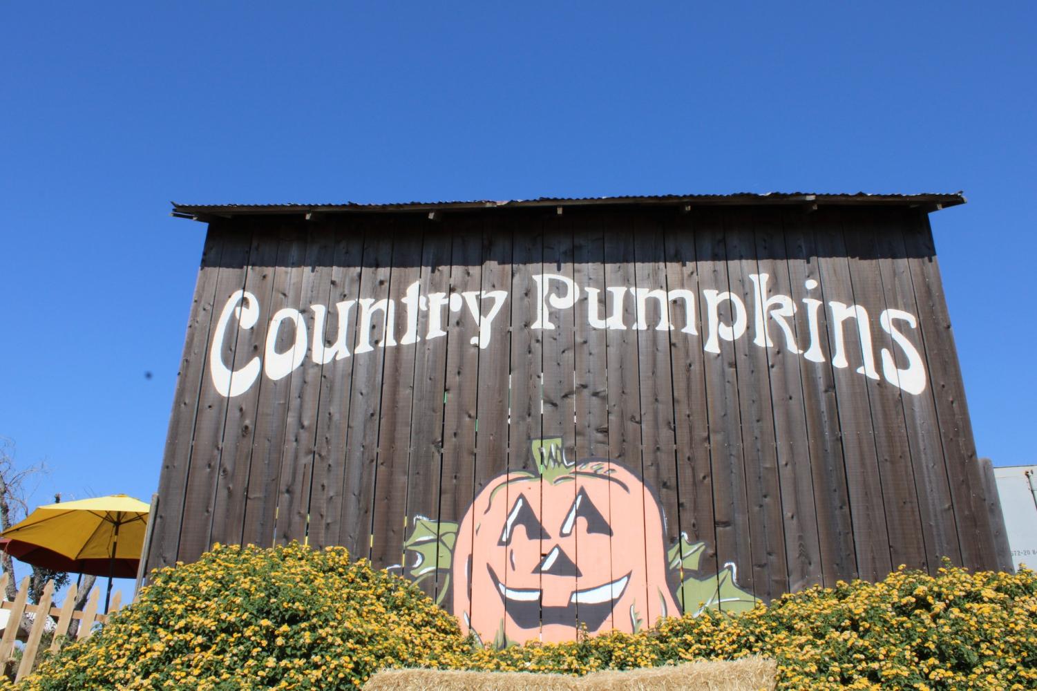 Country Pumpkins offers family-friendly fun in daylight