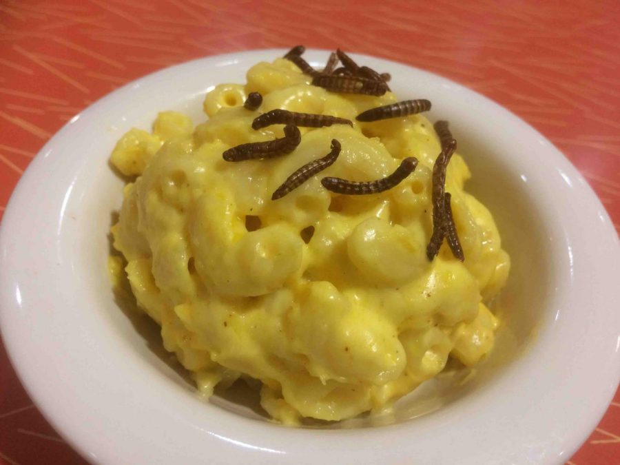 Creamy Mac and Cheese topped with crispy baked mealworms. Photo credit: Emily Neria