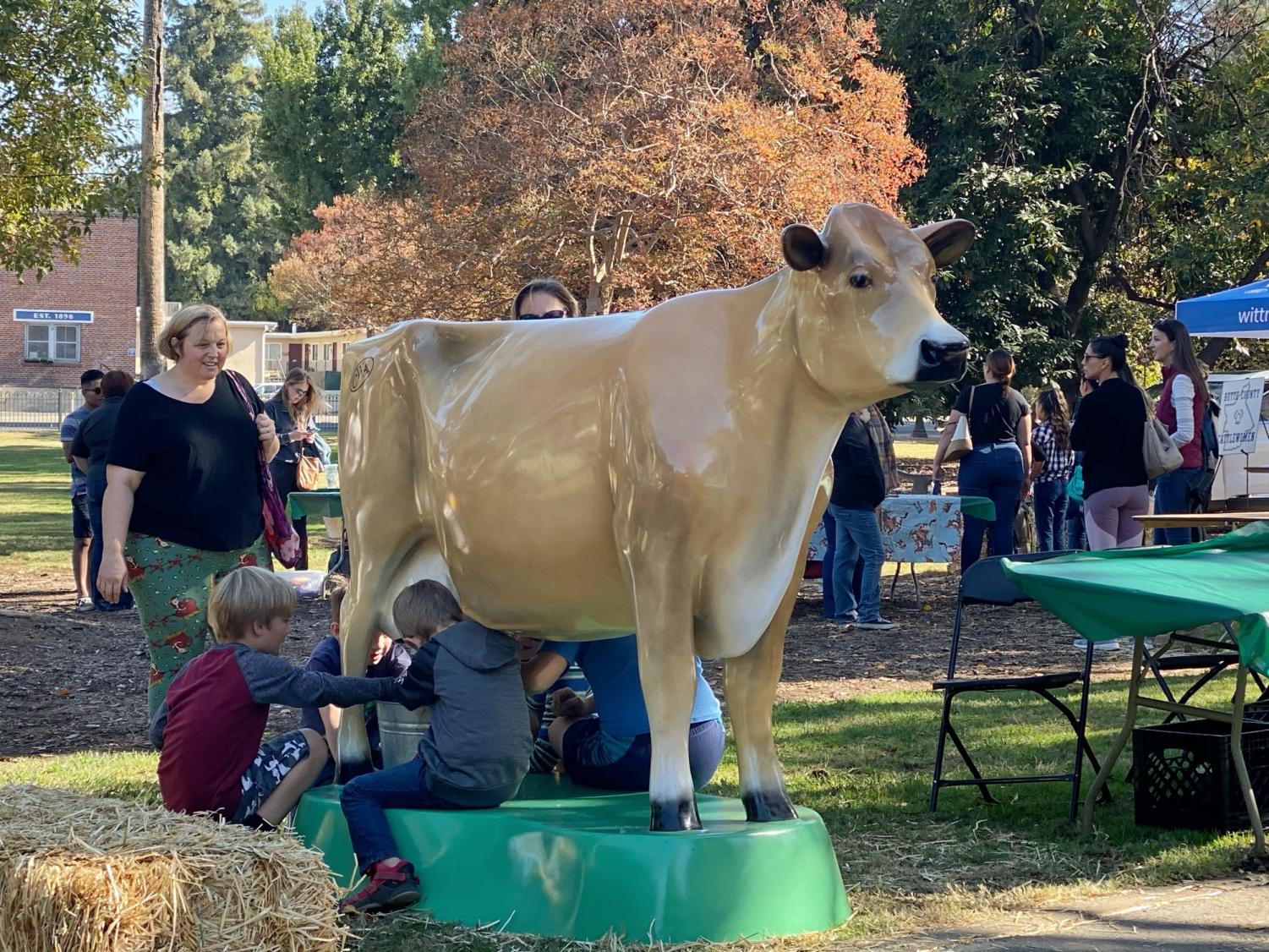 Children can get an experience of milking a fake cow. Photo credit: Hana Beaty