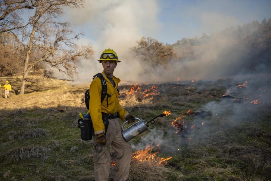 Current botany Master’s student Mitch Bamford participates in a previous controlled burn.
Photo credit - Jason Halley - CSU Chico University Photographer
