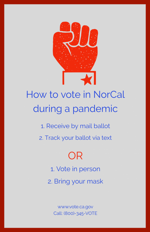 Voting during a Pandemic