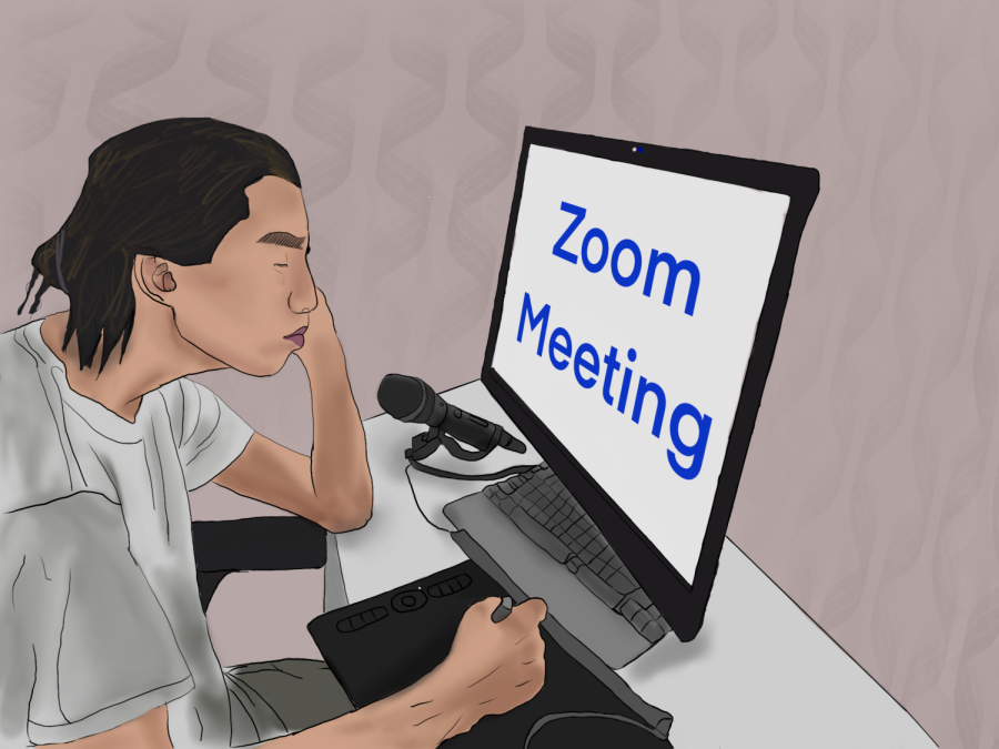 Zoom meetings/ classes are not the same as going to a classroom
