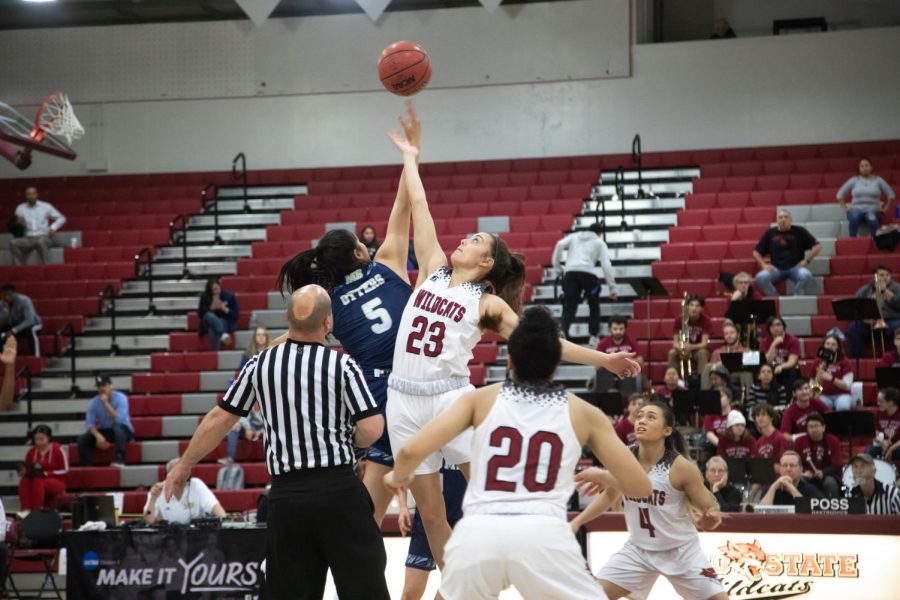 #23 Haley Ison goes for a jump ball in a basketball game at Chico State (Ryan McCasland/Chico State Sports Information)