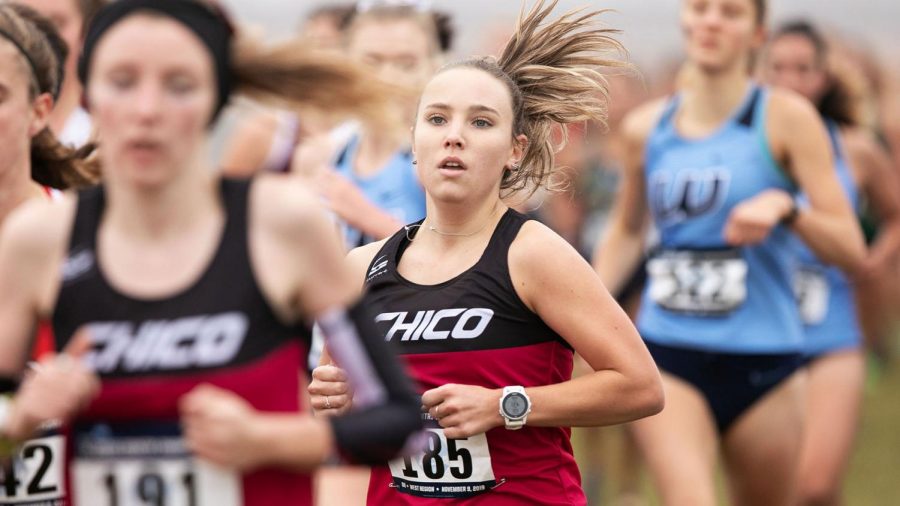 Taylor Lustyan runs in a race for Chico State.