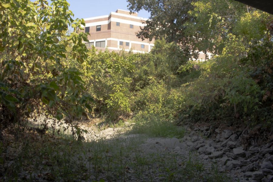 The Big Chico Creek portion behind the OConnell Technology Center runs dry.   Photo taken on Sept. 15, 2021