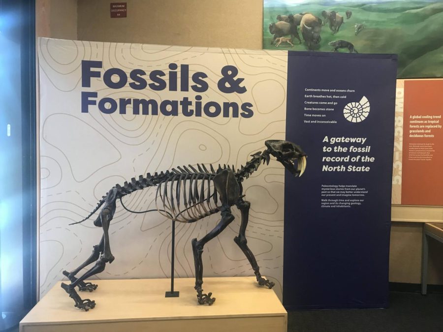 Fossils and Formations located at 625 Esplanade, Chico, CA, Friday, Oct. 8, 2021.