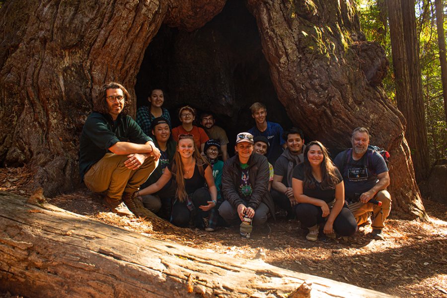 Students and professors gathered in the hollow base of a large redwood tree.
